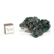 Dioptase Pierre Brute 15777