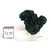 Dioptase Pierre Brute 15825