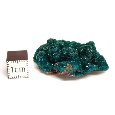 Dioptase Pierre Brute 15829