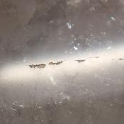 Cristal de Roche Pointe Polie 15893
