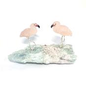 Flamant Rose 20163