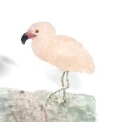 Flamant Rose 20163
