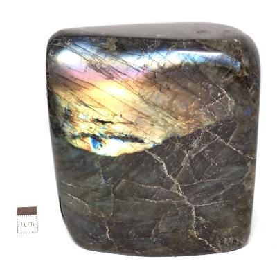 Labradorite Forme Libre 2026