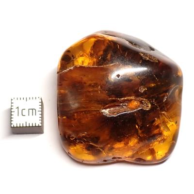 Ambre de la Baltique morceau poli 2038