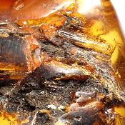 Ambre de la Baltique morceau poli 2038