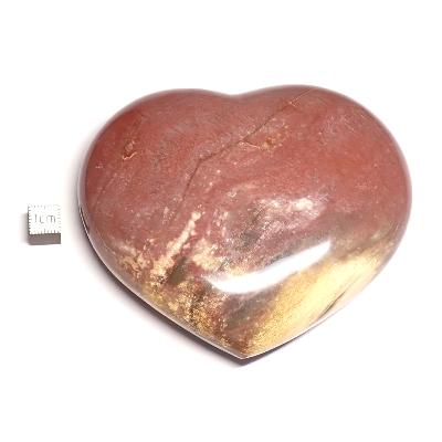 Bois Fossile Coeur 2049