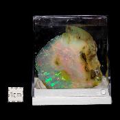 Opale d'Ethiopie Pierre Brute 2286