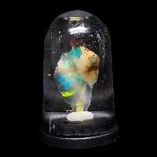 Opale d'Ethiopie Pierre Brute 2298