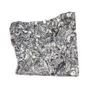 Pinolite Plaque 2336