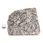 Pinolite Plaque 2338