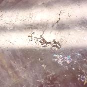 Super Seven Plaque 2363