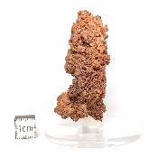 Cuivre Natif pierre brute 2583