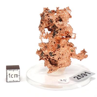 Cuivre Natif pierre brute 2591