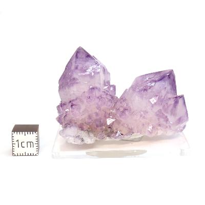 Cristal Cactus Brute 2726