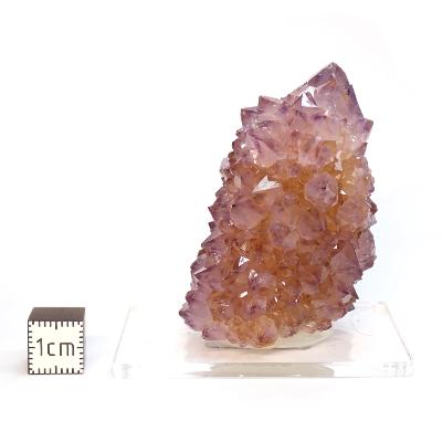 Cristal Cactus Brute 2727