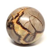 Septaria Boule 2828