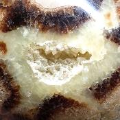 Septaria Boule 2829