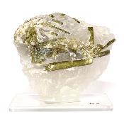Tourmaline Verte sur gangue pierre brute 2967