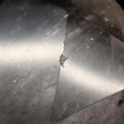 Cristal de Roche Sceau de Salomon 3015