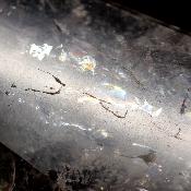 Cristal Vogel Plat 3029