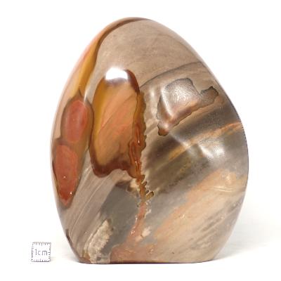 Jaspe Polychrome Forme Libre 0074