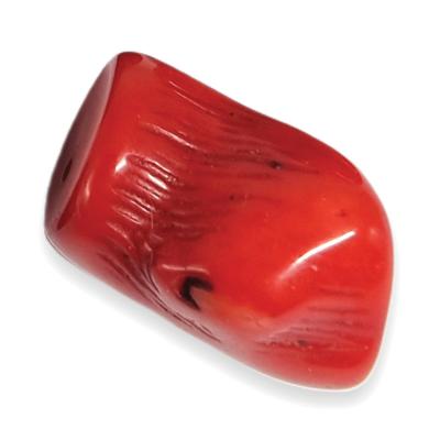 Corail Renforc