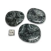 Diorites Orbiculaire Pierre Plate