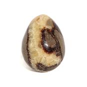 Septaria Oeuf