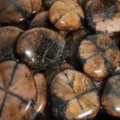 Chiastolite Mini Pierre Plate