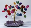 Arbres de Vie