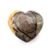 Septaria Coeur 04417