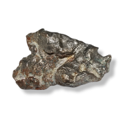 Météorite Sidérite Sikhote-Alin 11889