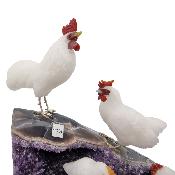 Famille de poules 14296