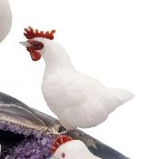 Famille de poules 14296