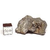 Météorite Sidérite Sikhote-Alin 15170