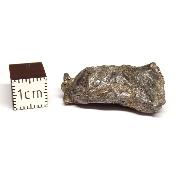 Météorite Sidérite Sikhote-Alin 15173