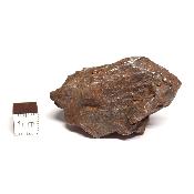 Météorite Sidérite Sikhote-Alin 15182