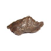 Météorite Sidérite Sikhote-Alin 15184