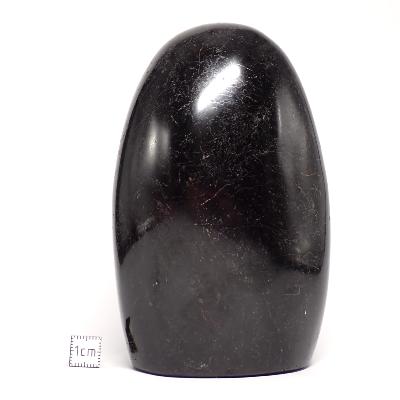 Tourmaline Noire Forme Libre 15690