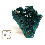 Dioptase Pierre Brute 15830