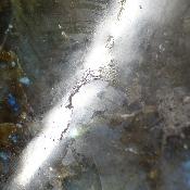 Labradorite Forme Libre 19947