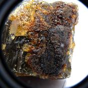Ambre de Sumatra 20063