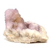 Cristal Cactus Brute 2052