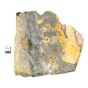 Jaspe Abeille Plaque 2280