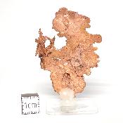 Cuivre Natif pierre brute 2578