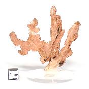 Cuivre Natif pierre brute 2584