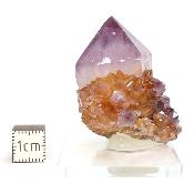 Cristal Cactus Brute 2725