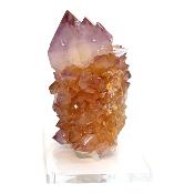 Cristal Cactus avec Citrine Brute 2730