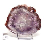 Auralite 23 Plaque 2761