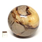 Septaria Boule 2828
